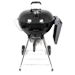 Menu-category-Grills Menu-category-Grills