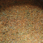 Приправа для говяжьей грудинки барбекю (брискета) Arefyev, фракция