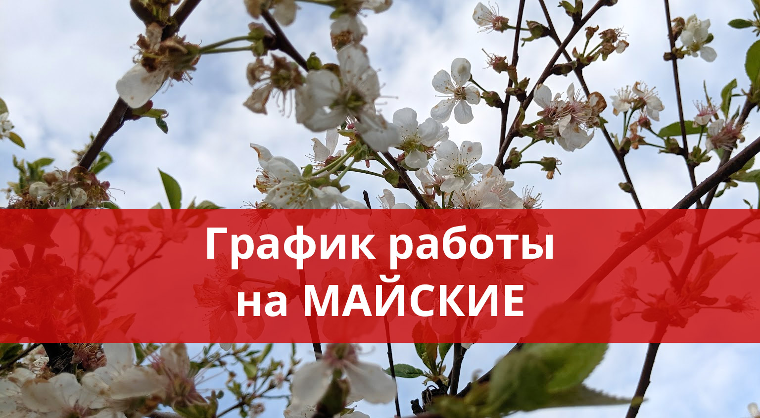 Как Грильмаг работает в майские праздники Как Грильмаг работает в майские праздники