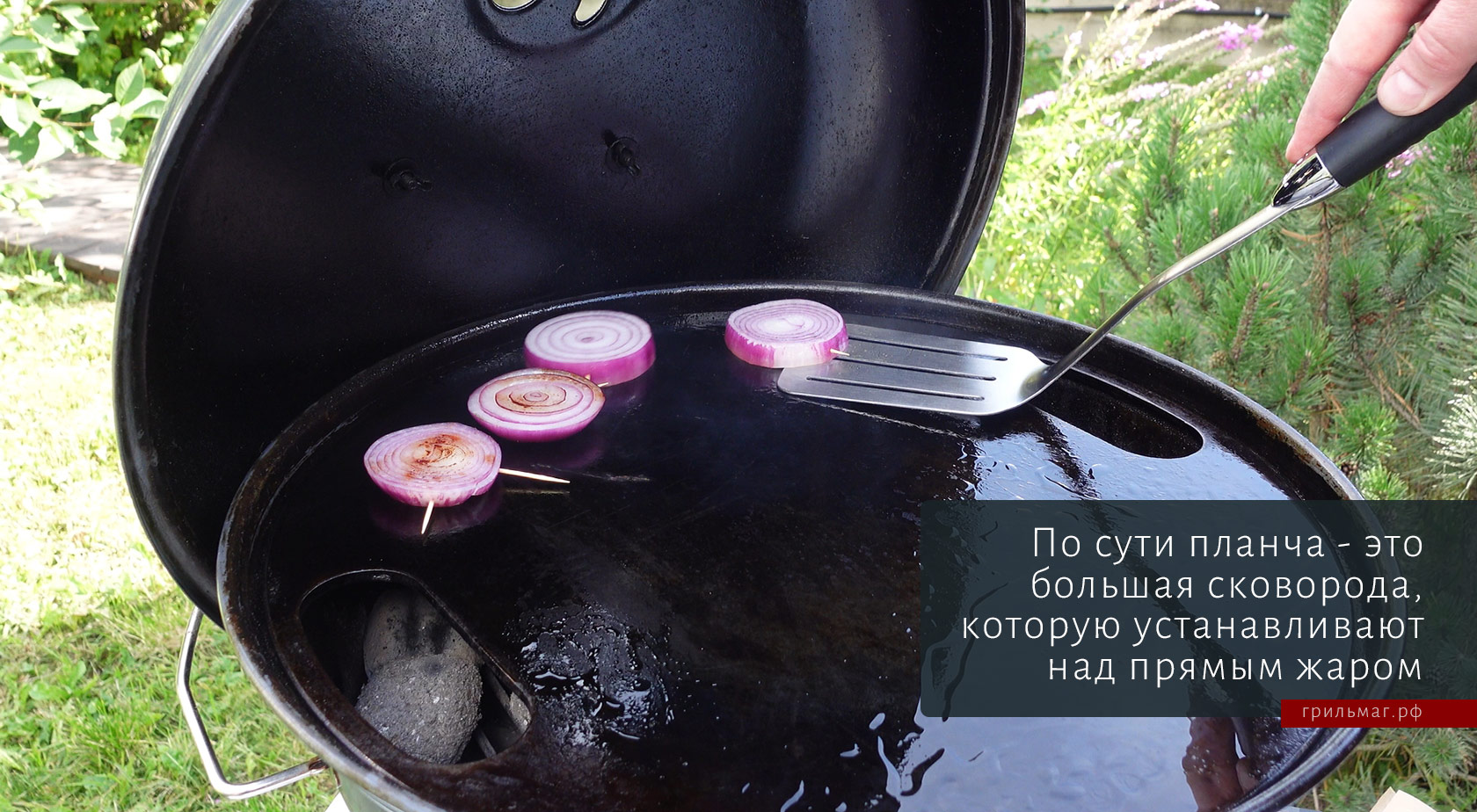 Что такое планча для гриля, и что на ней готовят Что такое планча для гриля, и что на ней готовят